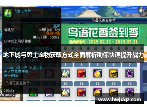 地下城与勇士宠物获取方式全面解析助你快速提升战力