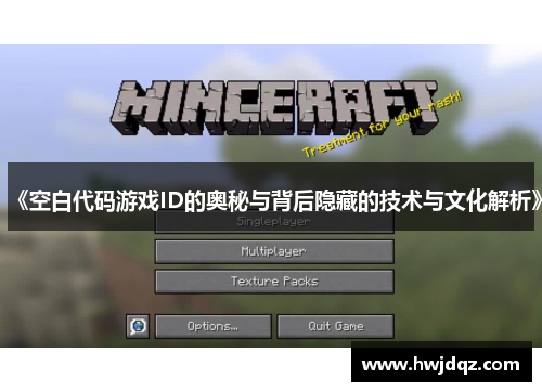 《空白代码游戏ID的奥秘与背后隐藏的技术与文化解析》